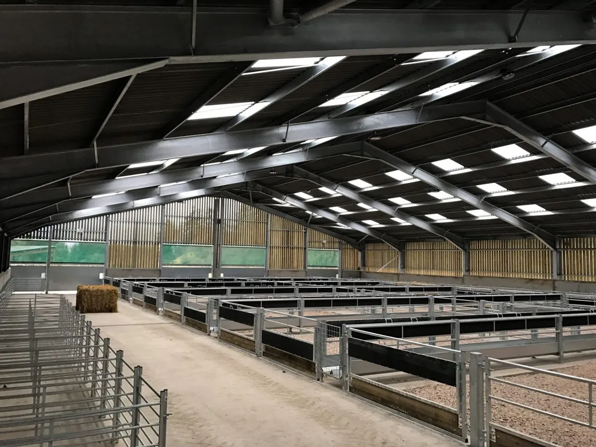 steel buildings for sale with prices