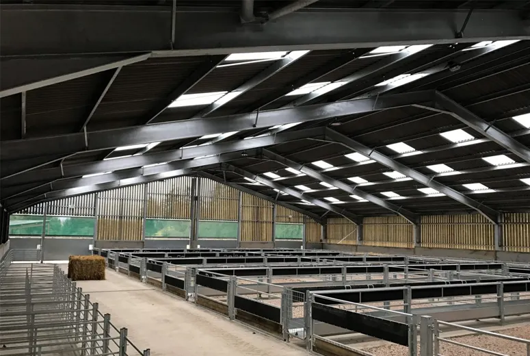 Sheep Husbandry Centre  2020Ys