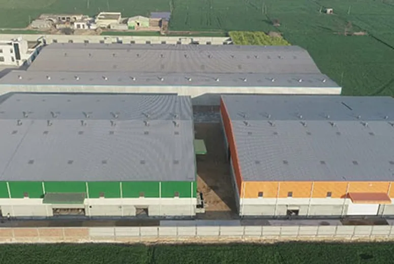 Foods Factory in Brazil