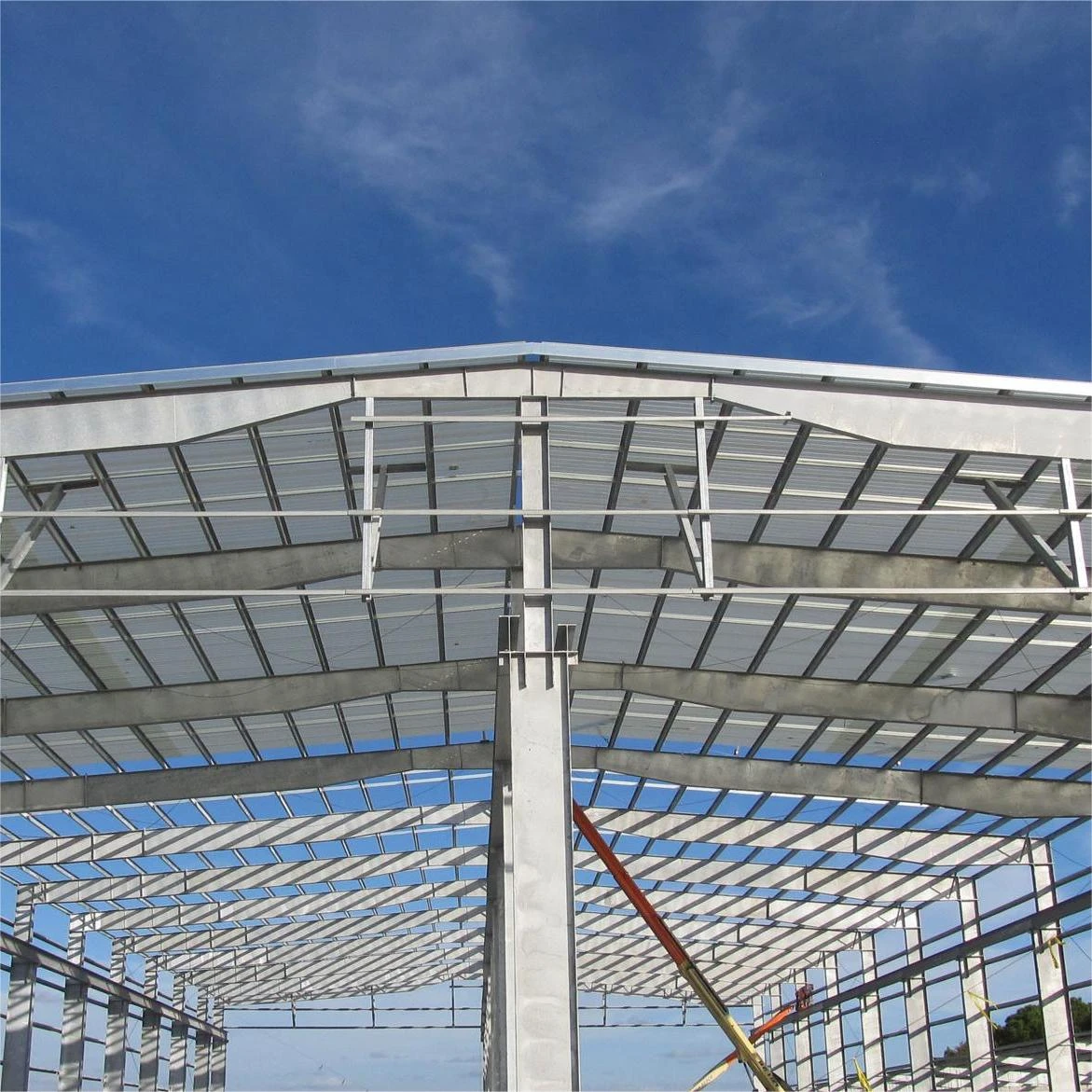 Advantages of Using Steel Frame Materials for Chicken Coops