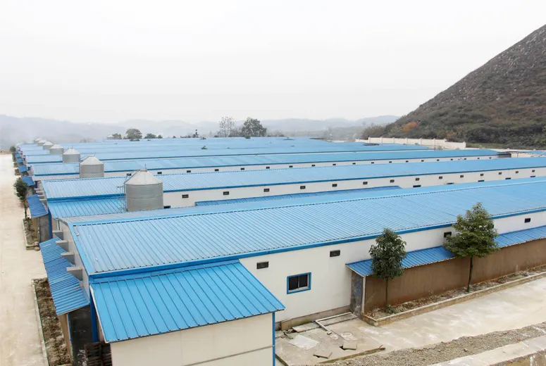 steel poultry shed