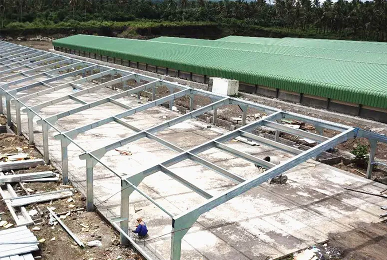 Prefabricated Steel Chicken Poultry House