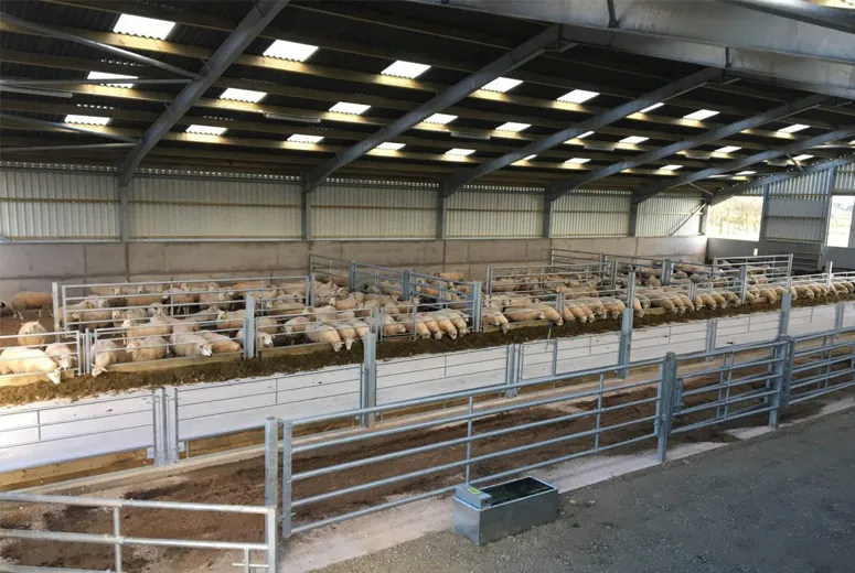 agricultural shed builders