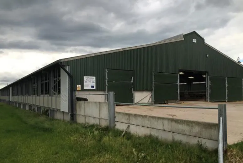 Steel Buildings For Livestock