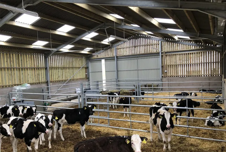 Steel Buildings For Livestock