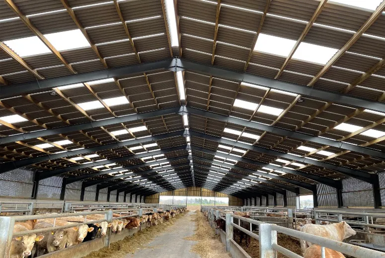 factory metal buildings