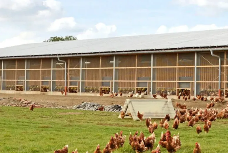 steel frame warehouse cost