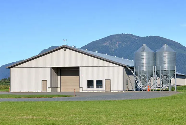 Steel Structure Warehouses