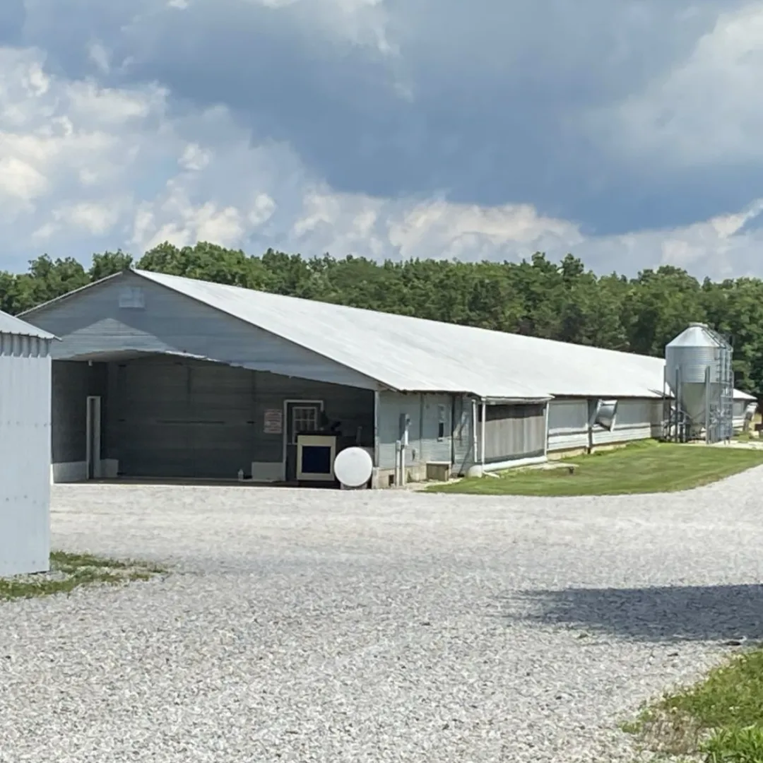 universal metal buildings