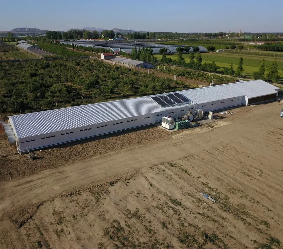 assembled metal sheds