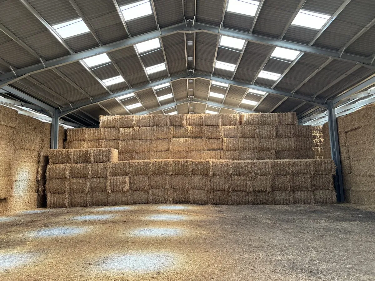 Read More About Steel Metal Shed