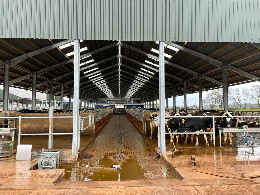 Read More About metal lean to barn