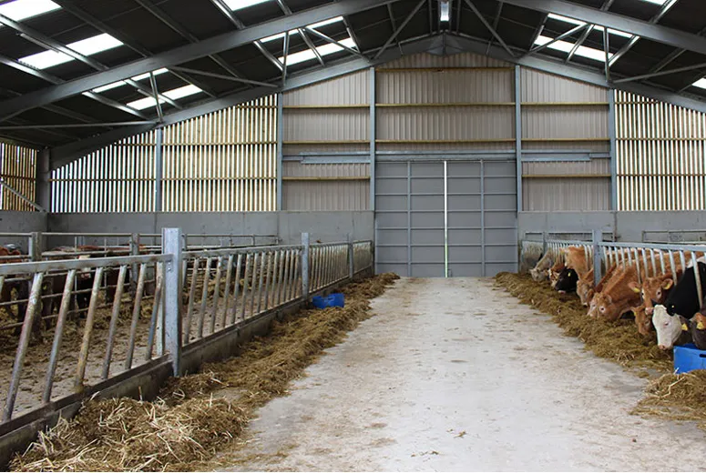 shed window frames for sale