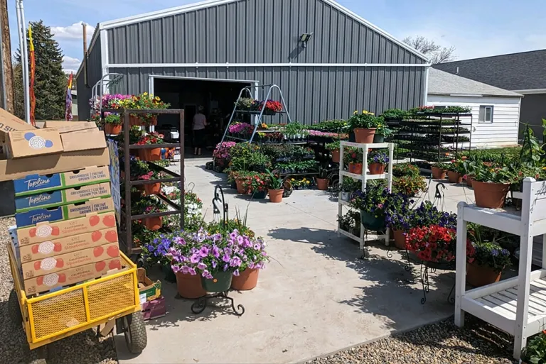 insulated metal garden workshops