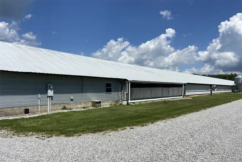 shed frame structure