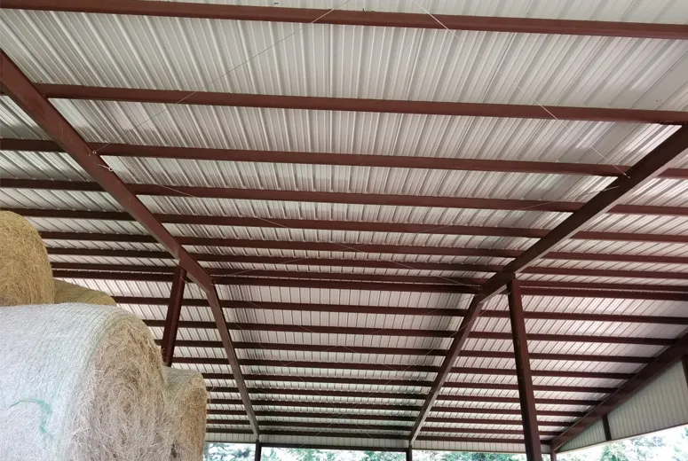metal shed 6x6ft