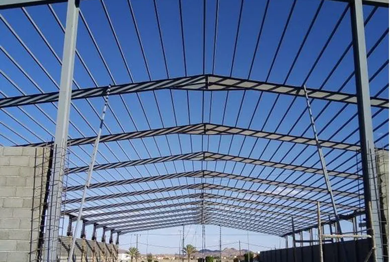 skeleton steel framing