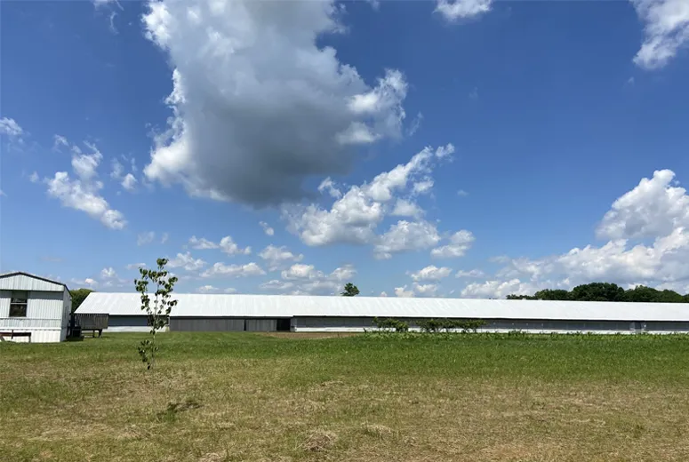 metal agricultural buildings