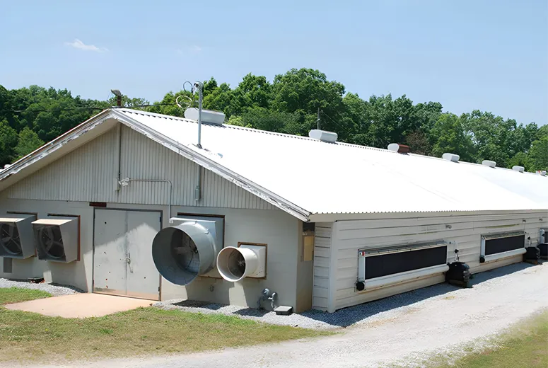 Steel Structure Factory Building